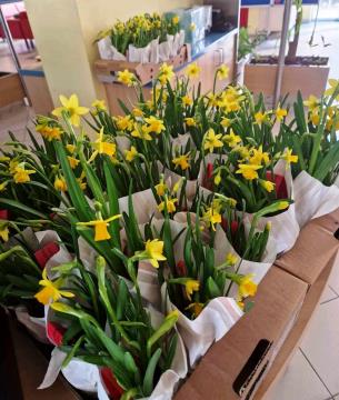 Prostovoljke RK Ravne in Kotlje ob Dnevu žena obiskale domove starejših (2)